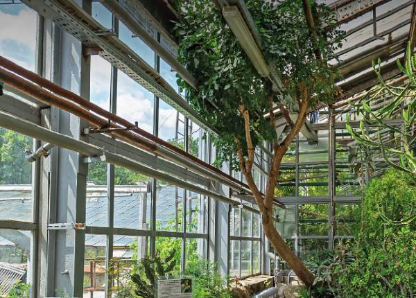 Зимний сад в городском парке в Мытищах